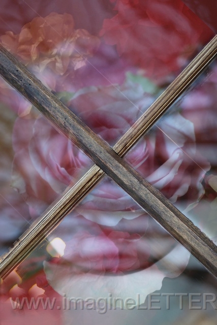 Wall_Art_Alphabet_Photography_Art_ 2479.jpg